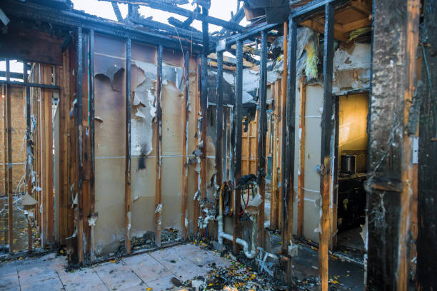 Professional Smoke Damage Removal technician working in Portales, NM